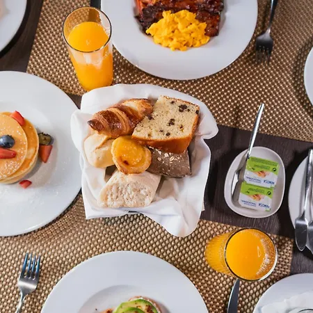 Burgus Tribute & Design 酒店 布拉加